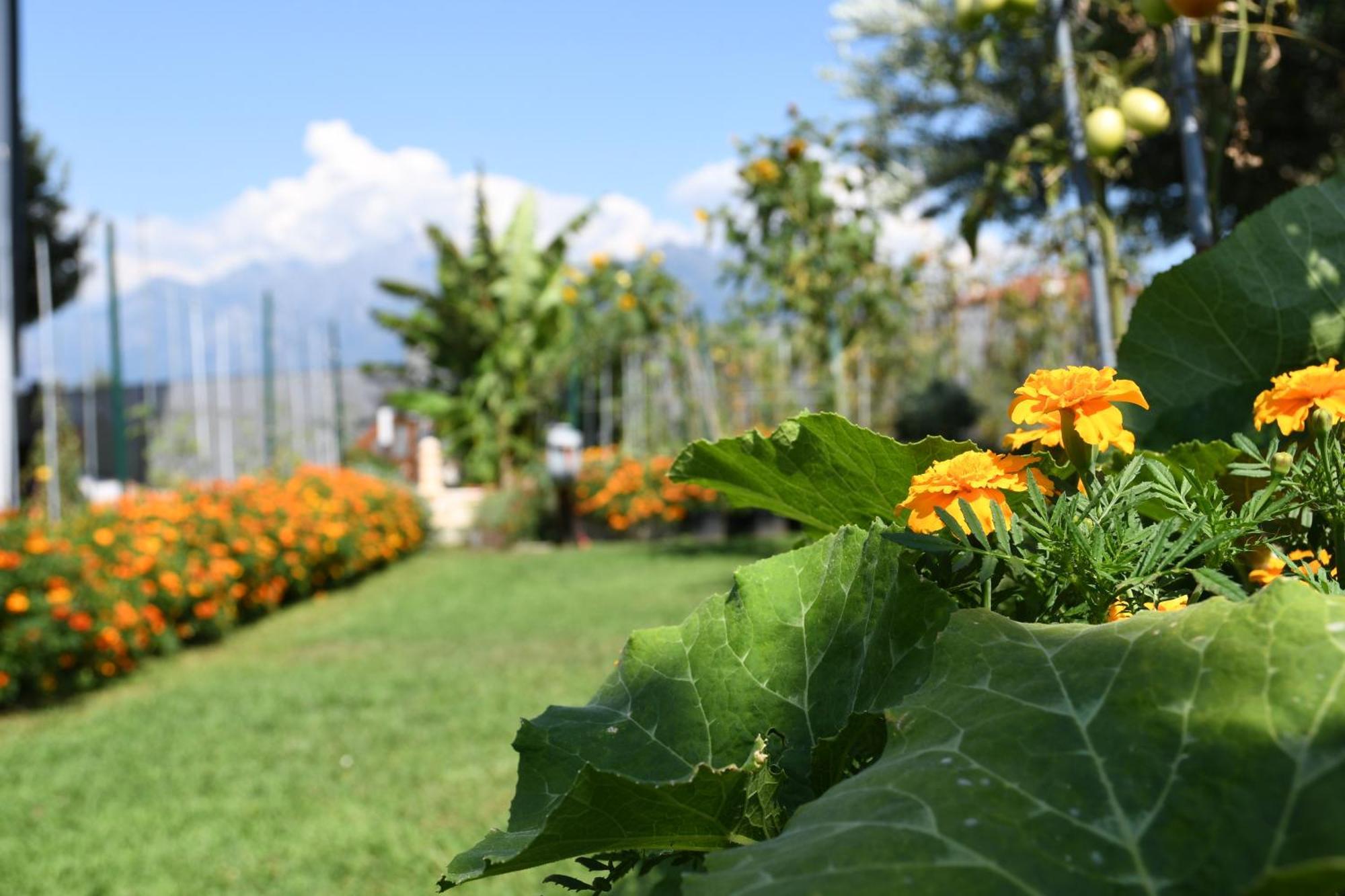 科利科Il Giardino Dei Ciliegi公寓 外观 照片