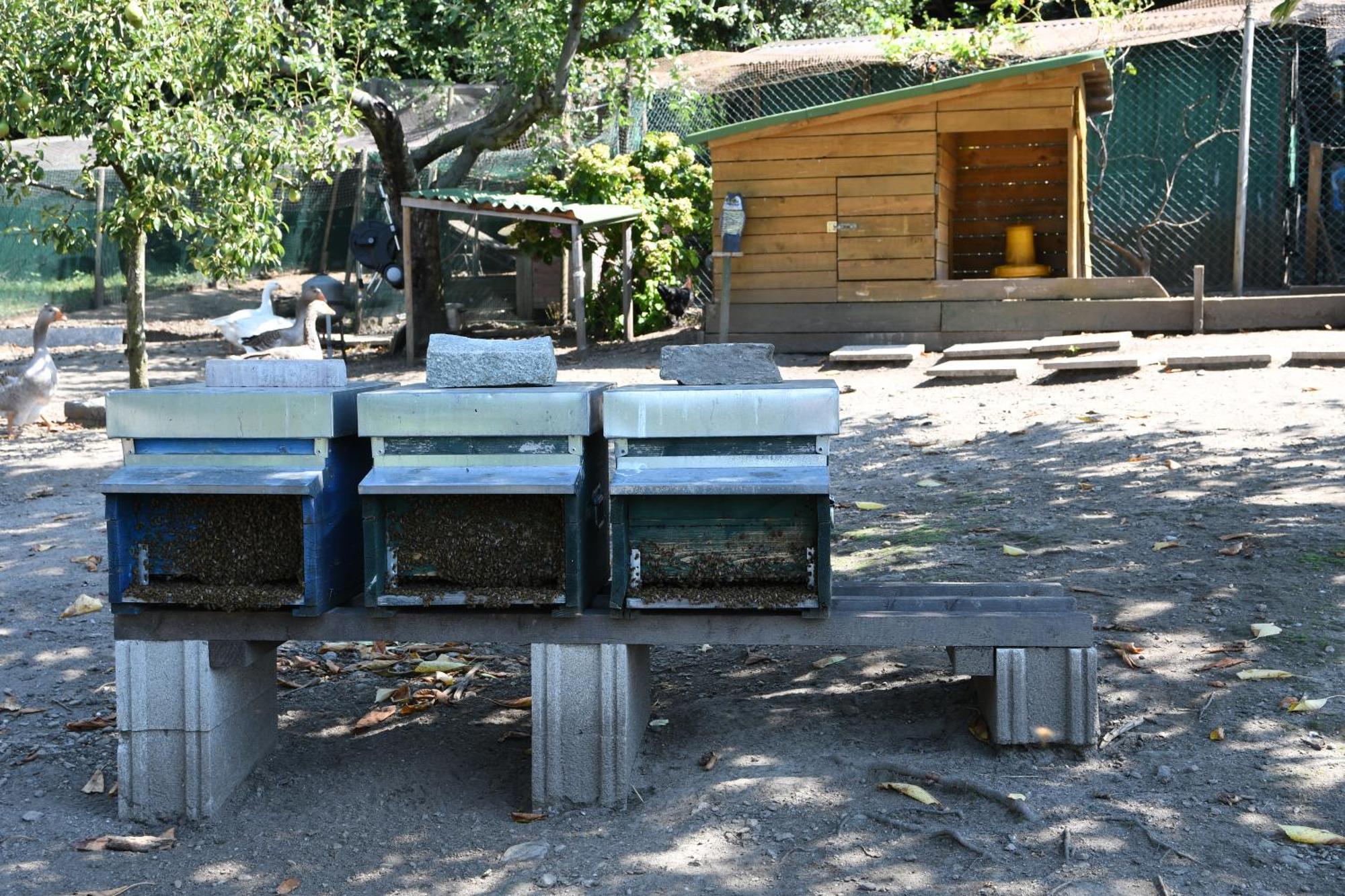 科利科Il Giardino Dei Ciliegi公寓 外观 照片